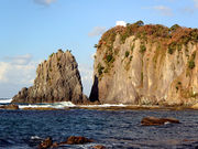 �C���J���񂳂�̑���̕@�W�]��̓��e�ʐ^8