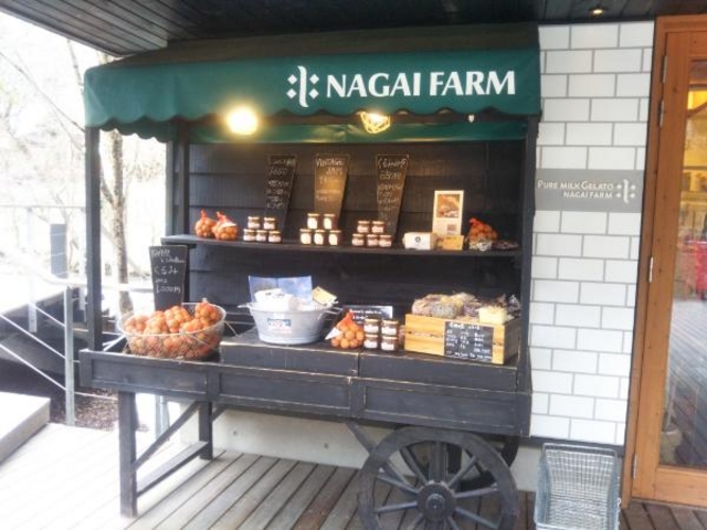 邨X̑ÕS_y򐯖GA@njeX