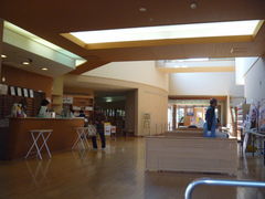 �g�V���[����̌b�݂̓��ւ̓��e�ʐ^1