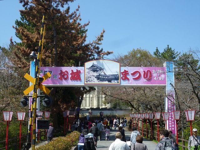 Ղ肪JÂē킢Ă_SRՂ̍