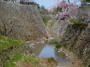 ߋT|~̌SRՂ̍̓eʐ^1