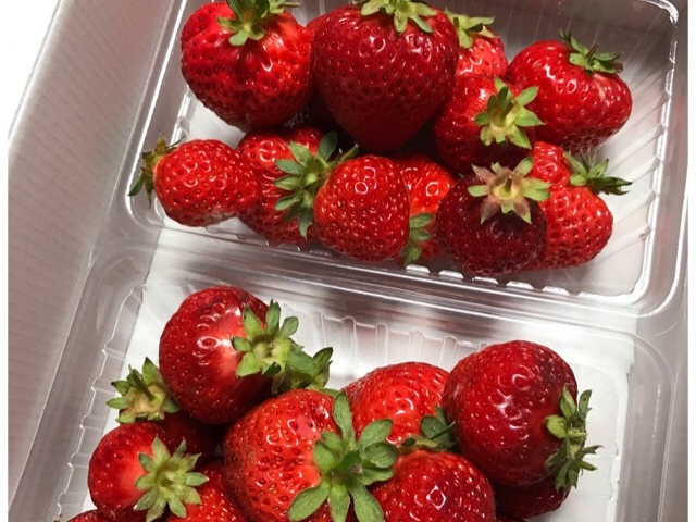 �������A��̂������􂠂܂�d�˂Ȃ��悤�Ɂc�Ƃ̂��Ɓ�_�����������