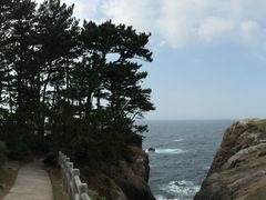 �K�`���R����̓����ւ̓��e�ʐ^1