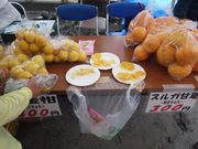 RbV[̌aRi苴ƌaRLj̓eʐ^25