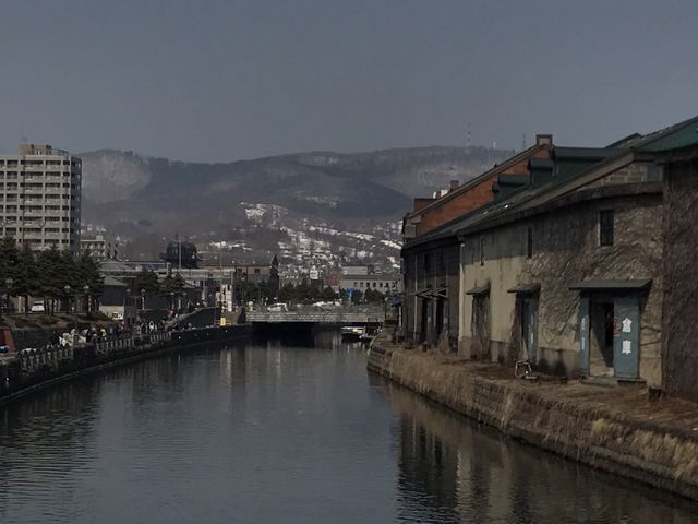 �^�͌��i�͔w��̎R���݂ƃ}�b�`���đf�G�ł���_�^�͂ƐΑ��q�ɌQ