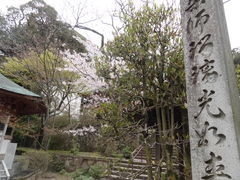 薬王院温泉寺と服部神社 薬王院温泉寺の口コミ じゃらんnet