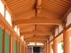 鶴亀松竹梅扇さんの薬師寺（奈良県奈良市）の投稿写真1