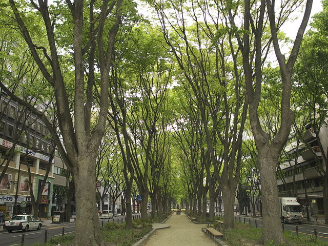 ��T����_��T����