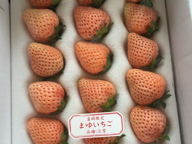 ��������_���c��������