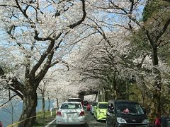 �C�Ñ��̍��̎ʐ^2