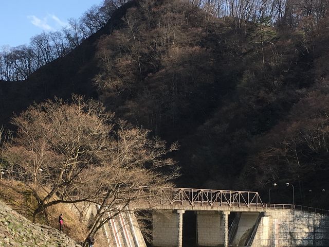 OX΁EΔȂ̌iFBiR/Tj_OX