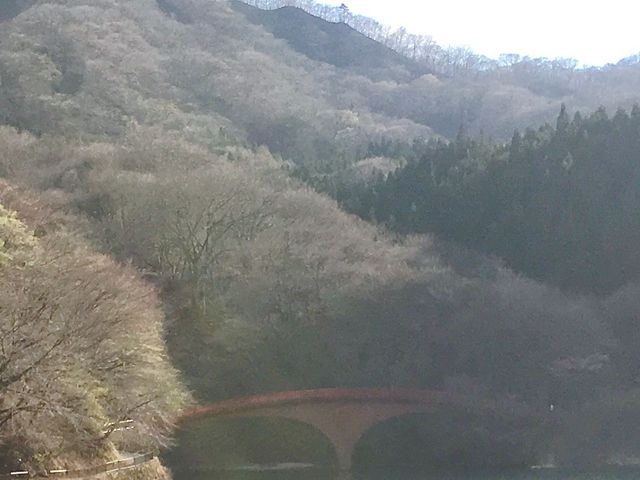 OX΁EΔȂ̌iFBiS/Tj_OX