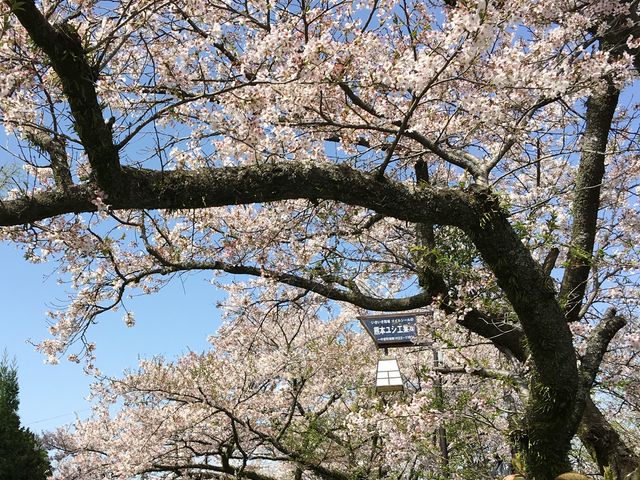 �ʐ^�B_���h�_��