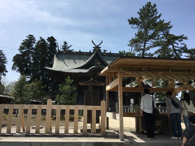 �ʐ^�C_���h�_��