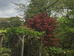 �����肳��̖��t�̐X�����ւ̓��e�ʐ^1