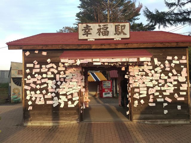 �w��_�K���w�i�K���S�������j