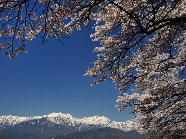 ͌̃J}̑咬̍̓eʐ^2