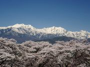 ͌̃J}̑咬̍̓eʐ^1