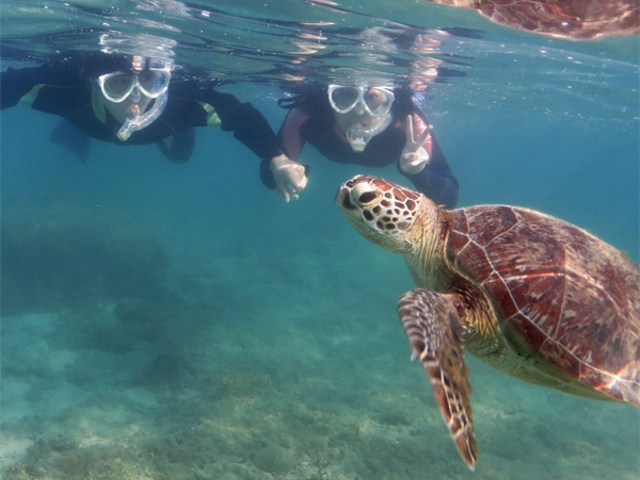 E~Kԋ߂ł݂܂I_A}~GVX