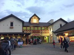 nana̍䥗΂̃~[WA n[xXg̋uւ̓eʐ^1