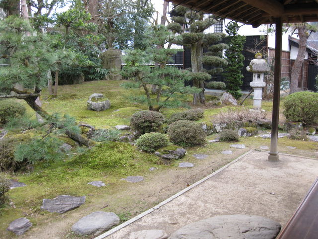 �����̍s���͂�����_���Ɖ��~�����R��