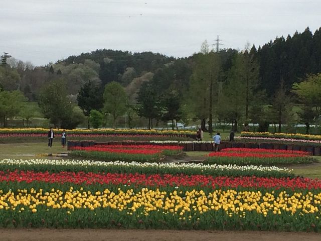 �`���[���b�v���J_���̉w ���傤�� �u���[���b�Z������