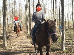 qO}[̓oʃz[Xp[NVxւ̓eʐ^1