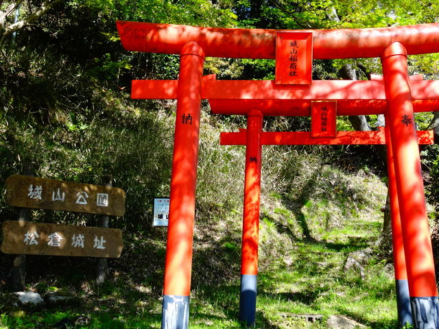 ���ǁ[����̏��q��Ղ̓��e�ʐ^1