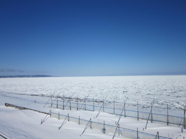 �C�ʂɂт������_�I�z�[�c�N�C�̗��X