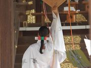 񂳂̈ɑV]_Ђ̓eʐ^1