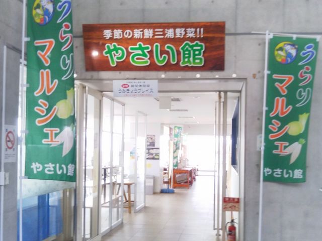 �w������؊فx_�O��t�B�b�V�����[�i�E�E�H�[�t�����