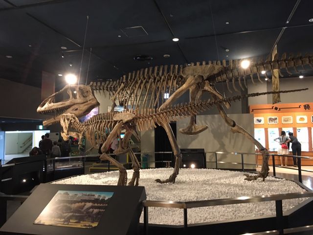 ����_���É��s�Ȋw��