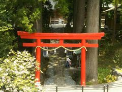 とらねこさんの須山浅間神社の投稿写真1