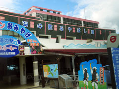 Ȃ̊C̉w͂قւ̓eʐ^1