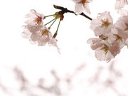 傤̕󖞋{_Ђ̍̓eʐ^3