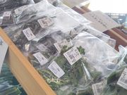 usa̎OtBbV[iEEH[t̓eʐ^1