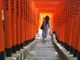 とらねこさんの日枝神社（東京都千代田区）への投稿写真2