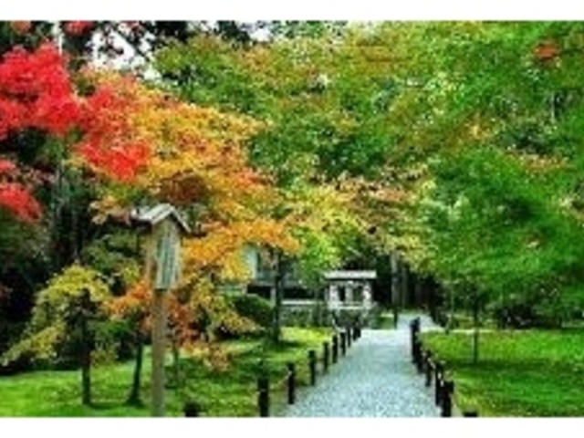 �Y���_�匴