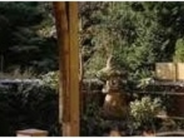 �I�V_����܉���