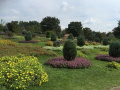 ~j}̎Rt[Z^[EnCW̑ւ̓eʐ^1