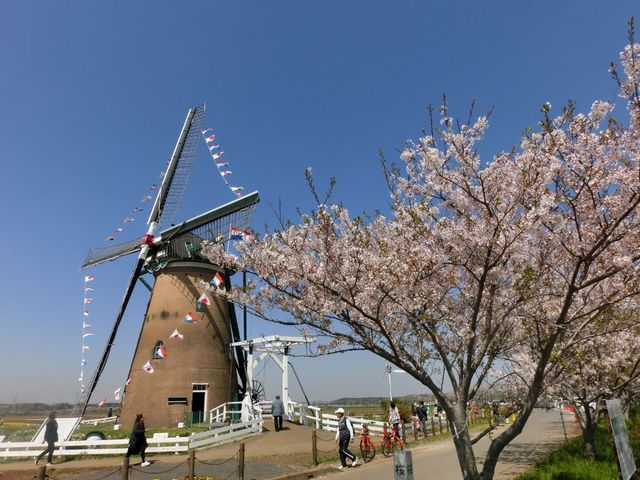 ���q�ӂ邳�ƍL��@�����؂�����܂�_�I�����_���ԃ��[�t�f