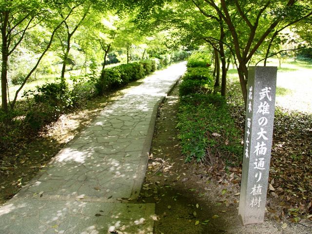 �������_���Y�̑��