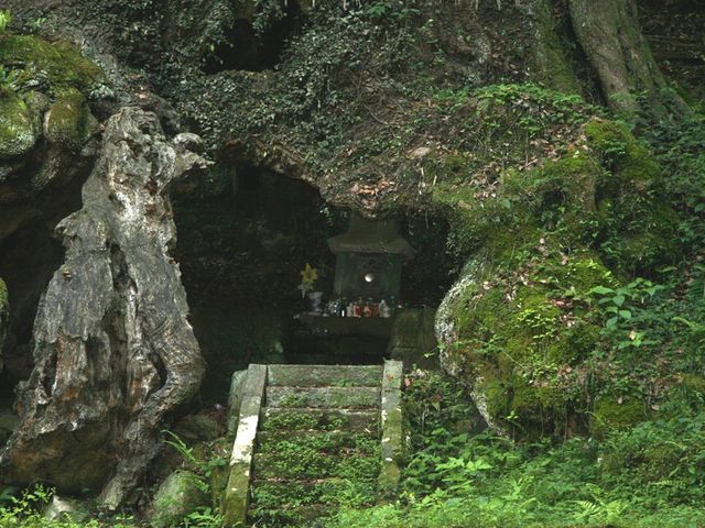 ���̊��̒�_���Y�̑��