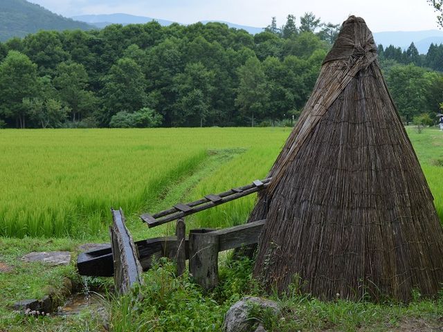 ���ԏ����������ł��ˁB_����ӂ邳�Ƒ�