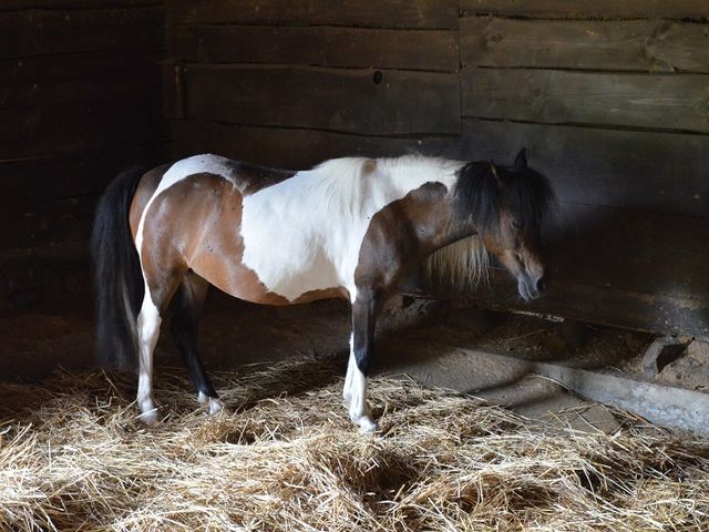 �{���n�܂ł��܂��B_����ӂ邳�Ƒ�