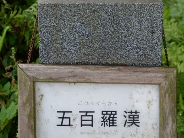 ������\��_�ܕS����