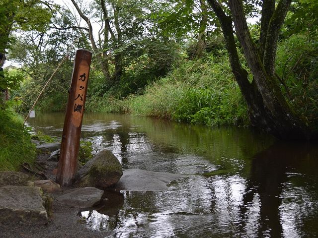 �J�b�p�����ɂ��o�Ă������H_�J�b�p��