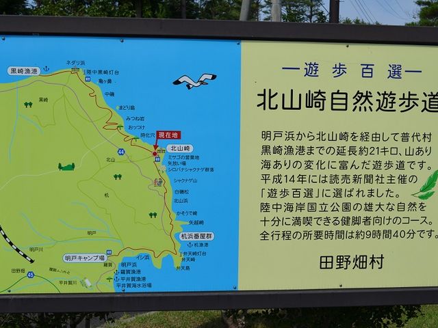 �V�����ŁA���t���b�V��_�k�R��W�]��