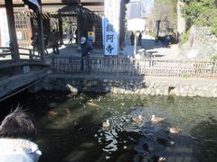 STREETRACERfւ̓eʐ^2