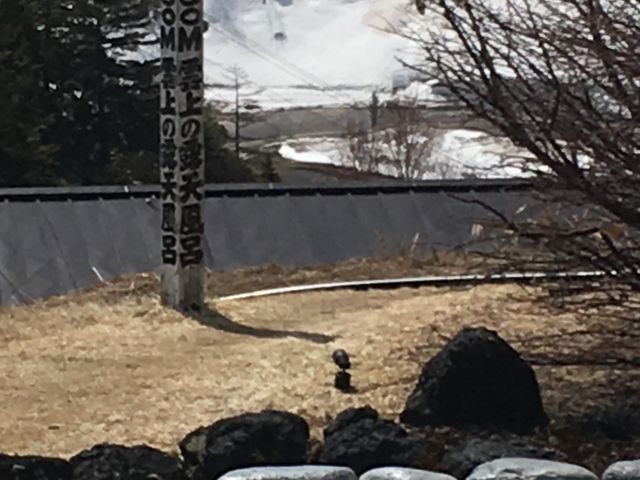 �W���P�W�O�Om �_��̘I�V���C�E�W��������j���p�I�V���C�i�R/�T�j_�����v�����X�z�e��